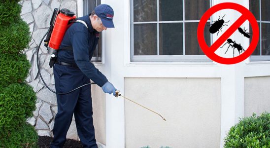Bandırma Uçan Haşere İlaçlama böcek ilaçlama ve haşere kontrolü — ilaclama-tr.com